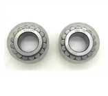 Cylindrical Roller Bearings(2191-2444 2509-2685-2819 2731 2620 2558-2674 2532-2724 2820 2495-2566 2821 2805 2799 2656)