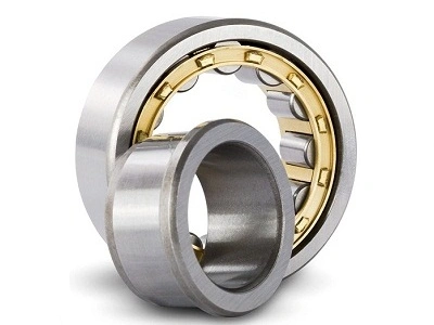 Cylindrical Roller Bearings(SL185004 SL185005 SL185006 SL185007 SL185008 SL185009 SL185010 SL185011 SL185012 SL185013 SL185014 SL185015 SL185016 SL185017)